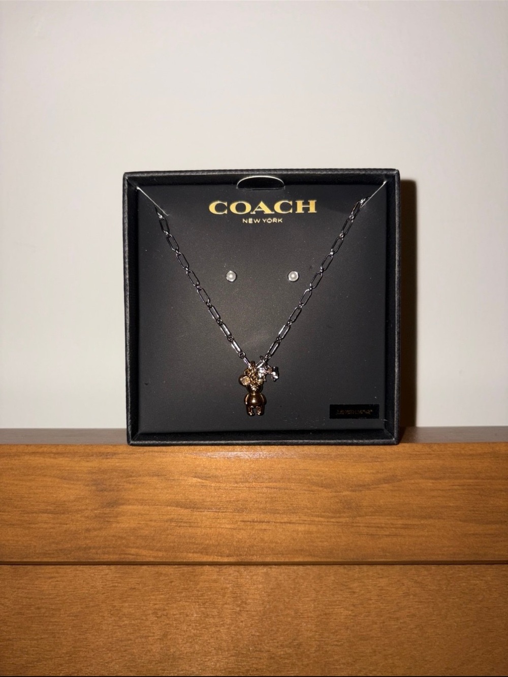 NWT Coach Boxed Teddy Bear And Bow Earrings And Necklace Set